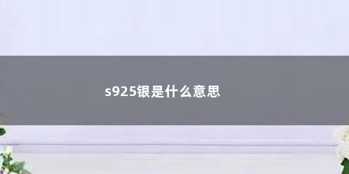 s925银是什么意思