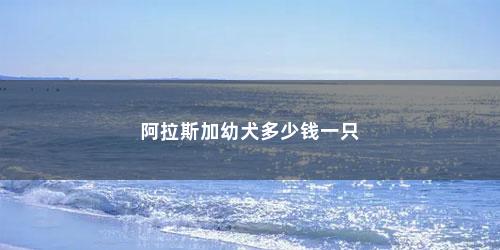 阿拉斯加幼犬多少钱一只