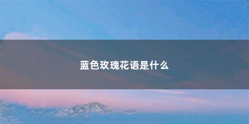 蓝色玫瑰花语是什么