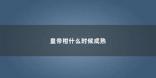 皇帝柑什么时候成熟