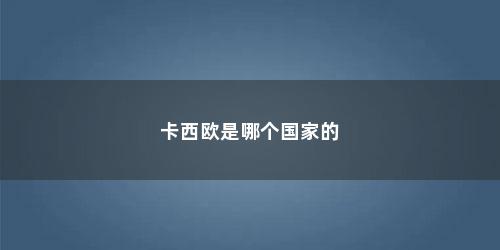 卡西欧是哪个国家的