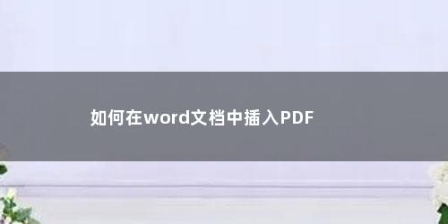 如何在word文档中插入PDF