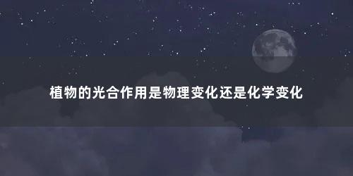 植物的光合作用是物理变化还是化学变化