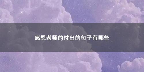 感恩老师的付出的句子有哪些