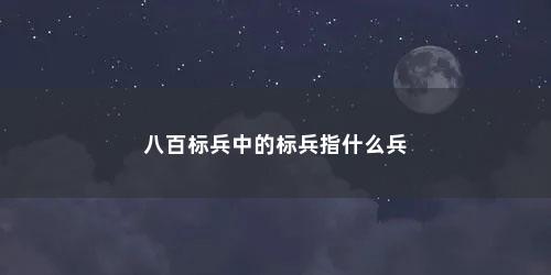 八百标兵中的标兵指什么兵