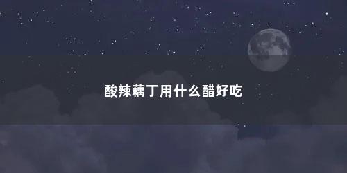 酸辣藕丁用什么醋好吃