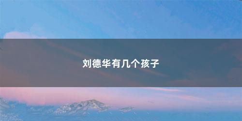 刘德华有几个孩子