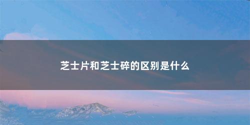 芝士片和芝士碎的区别是什么