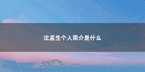 沈孟生个人简介是什么