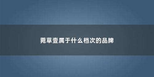 菀草壹属于什么档次的品牌