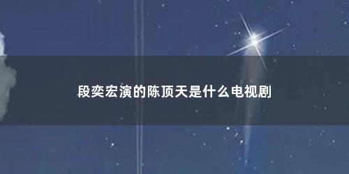 段奕宏演的陈顶天是什么电视剧