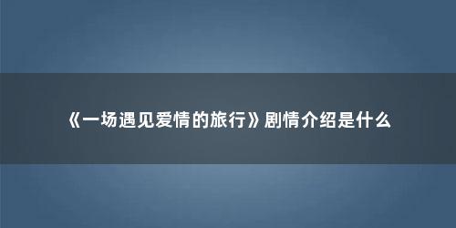 《一场遇见爱情的旅行》剧情介绍是什么