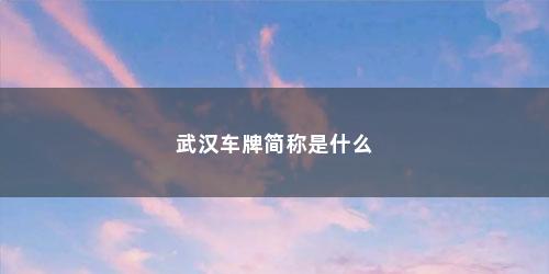 武汉车牌简称是什么