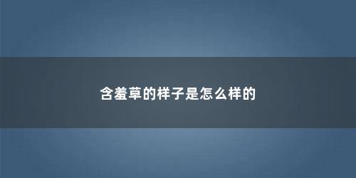含羞草的样子是怎么样的 含羞草的样子是怎么样的(含羞草的样子是怎么样)