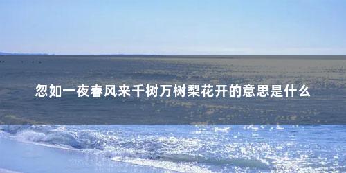 忽如一夜春风来千树万树梨花开的意思是什么