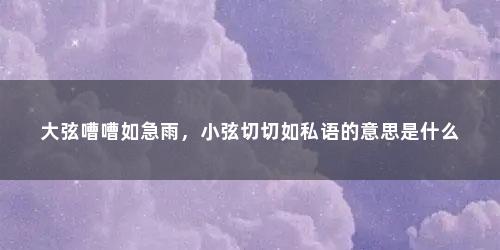 大弦嘈嘈如急雨，小弦切切如私语的意思是什么
