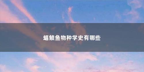 蝠鲼鱼物种学史有哪些 蝠鲼鱼物种学史有哪些(蝠鲼鱼长什么样)