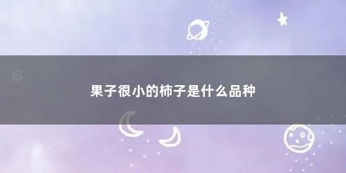 果子很小的柿子是什么品种