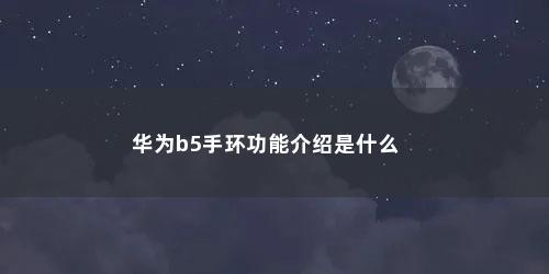 华为b5手环功能介绍是什么