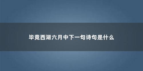毕竟西湖六月中下一句诗句是什么 毕竟西湖六月中下一句诗句是什么(毕竟西湖六月中下一句诗是什么)