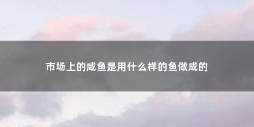 市场上的咸鱼是用什么样的鱼做成的