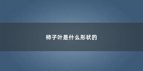 柿子叶是什么形状的