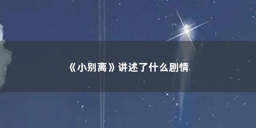 《小别离》讲述了什么剧情
