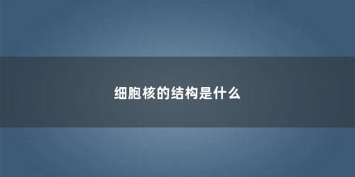 细胞核的结构是什么(细胞核的结构和功能)