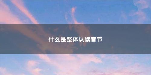 什么是整体认读音节