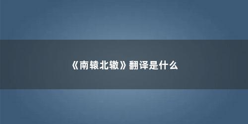 《南辕北辙》翻译是什么