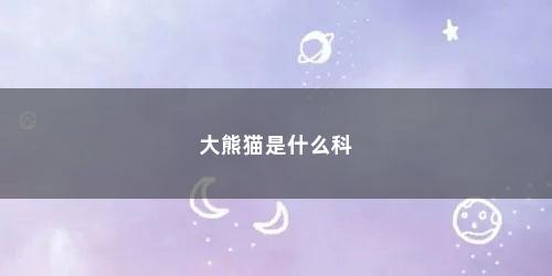 大熊猫是什么科