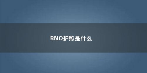 BNO护照是什么