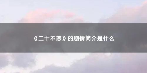 《二十不惑》的剧情简介是什么