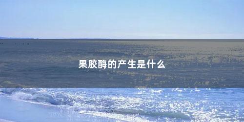 果胶酶的产生是什么