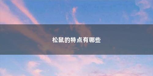 松鼠的特点有哪些