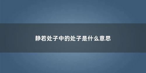 静若处子中的处子是什么意思