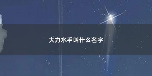 大力水手叫什么名字