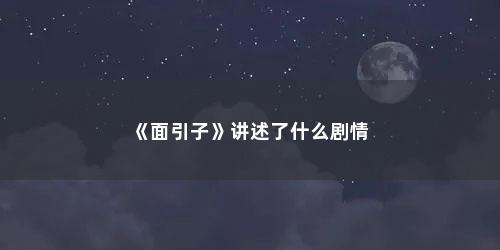 《面引子》讲述了什么剧情