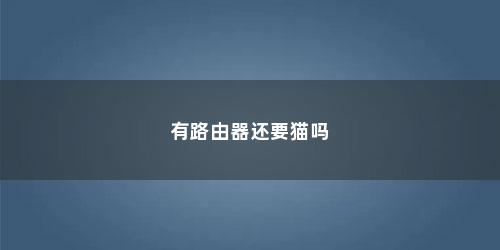 有路由器还要猫吗