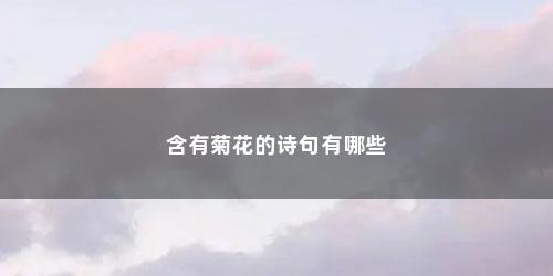 含有菊花的诗句有哪些