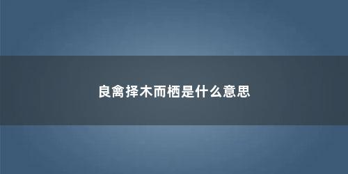 良禽择木而栖是什么意思