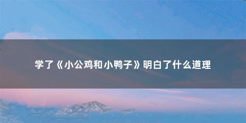 学了《小公鸡和小鸭子》明白了什么道理 学了《小公鸡和小鸭子》明白了什么道理(学了小公鸡和小鸭子明白了什么)