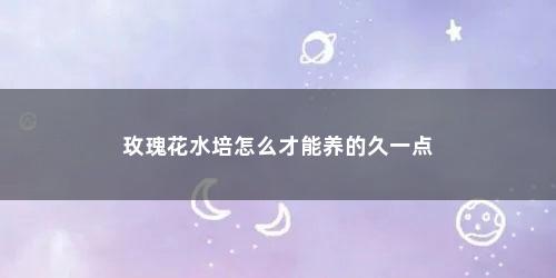 玫瑰花水培怎么才能养的久一点
