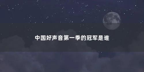 中国好声音第一季的冠军是谁