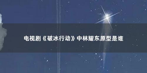 电视剧《破冰行动》中林耀东原型是谁