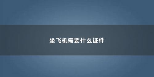 坐飞机需要什么证件