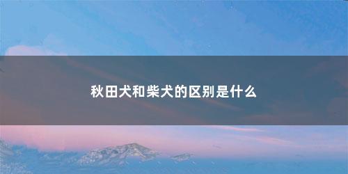 秋田犬和柴犬的区别是什么