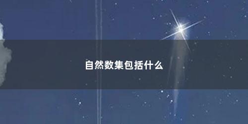 自然数集包括什么