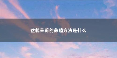 盆栽茉莉的养殖方法是什么