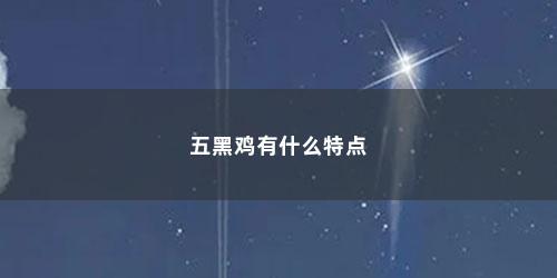 五黑鸡有什么特点